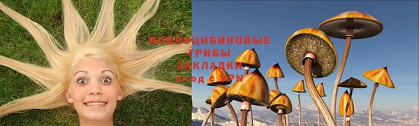 эйфоретик Переславль-Залесский