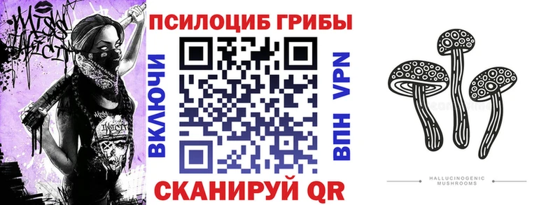 Псилоцибиновые грибы ЛСД  ссылка на мегу tor  Сельцо 